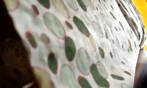 عاهرة الشرج سكسي 2019 مترجم قرنية الرجل فيديو إباحي 